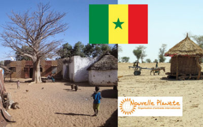 Mon appui à « Nouvelle-Planète » et à son projet au Sénégal