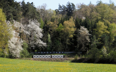 Armes, autodétermination, agriculture…