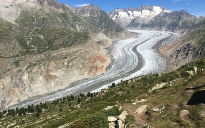 Ukraine, glaciers et troupeaux