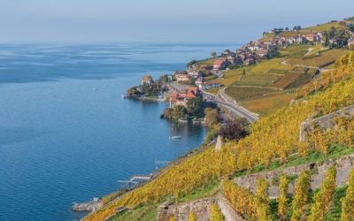 Beaucoup de refus et un soutien pour le vin