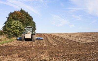 Notre sécurité alimentaire menacée