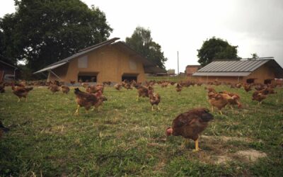 Soutenons les producteurs suisses !